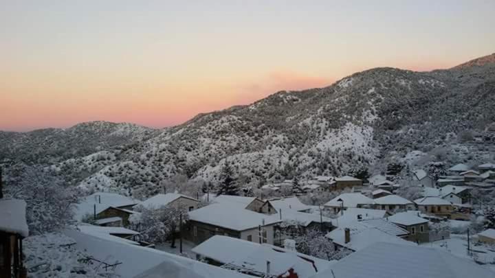 Mountain Rose & Restaurant מלון